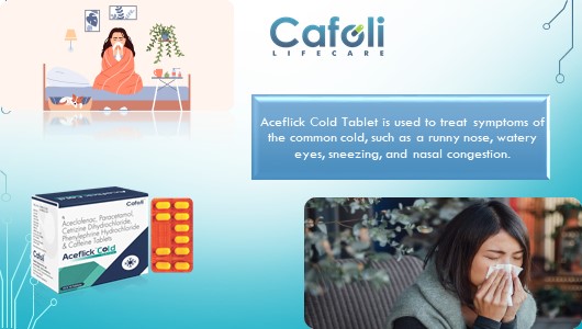 Aceflick Cold Tablet Best Price in Analgesic Pharma Franchise